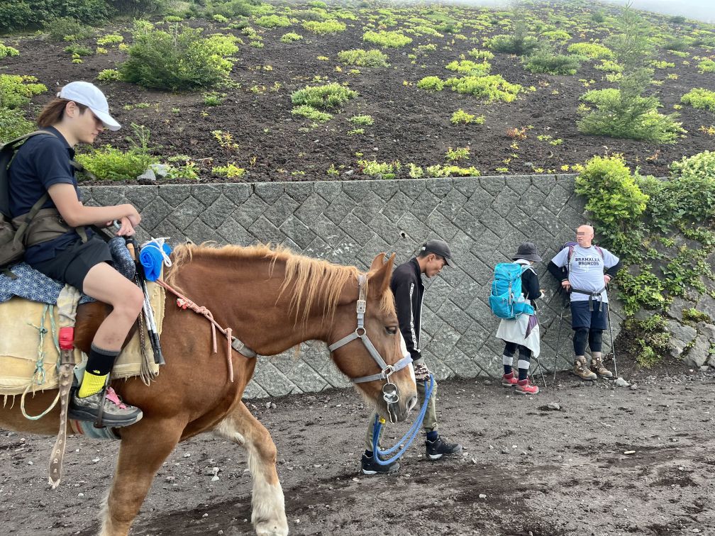 商売上手　疲れ切った人を乗せる馬